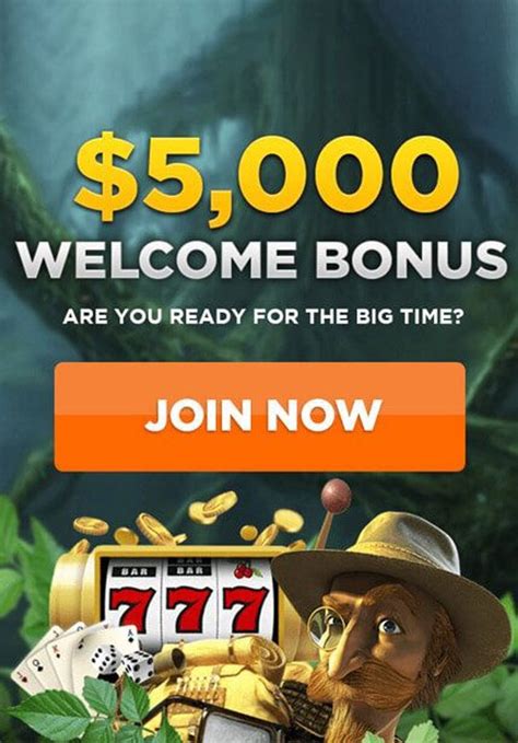 wild casino ndb codes|Wild Casino Gets Wilder With No Deposit Codes.